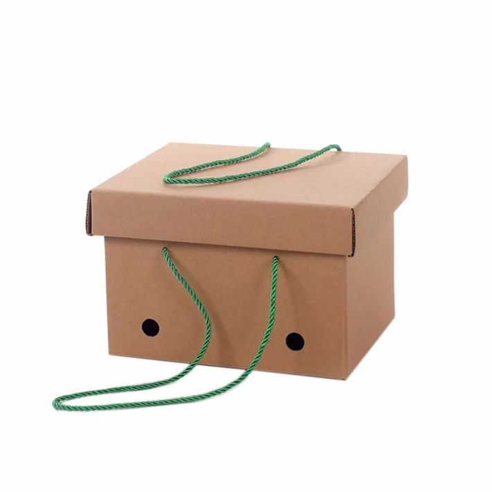 Custom Shipping Boxes Corrugated Cartons With Rope Handle Buy Cartons