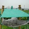 Effective diamondback moth killer to control pests