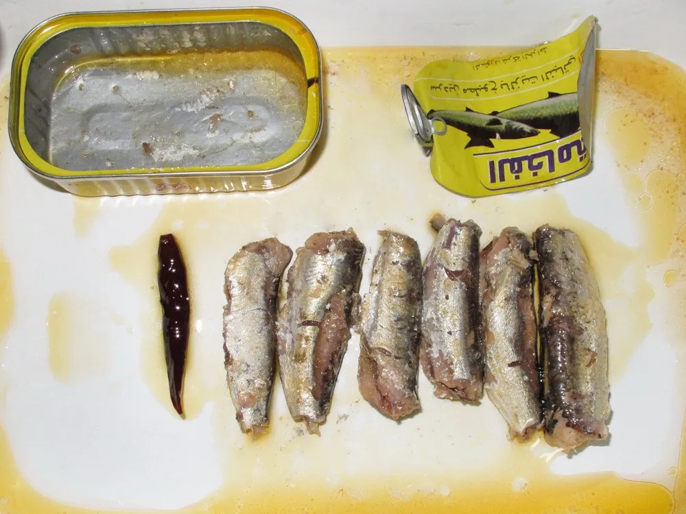 Canned Food Canned Fish Canned Sardine/ Tuna/ Mackerel in Tomato Sauce