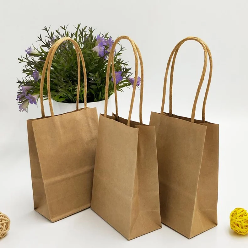 Small White Paper Bags Without Handles IUCN Water