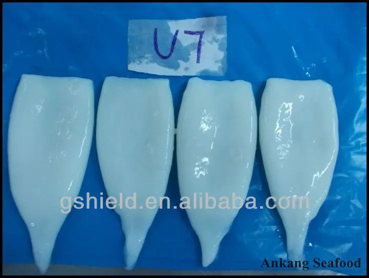 FROZEN SQUID TUBE U7 IQF.jpg