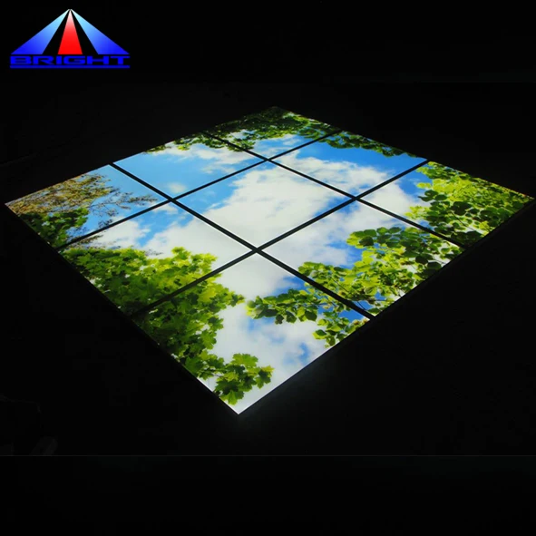 Design Custom Blue Sky Cloud Led Panel Light 595*595mm Led Ceiling