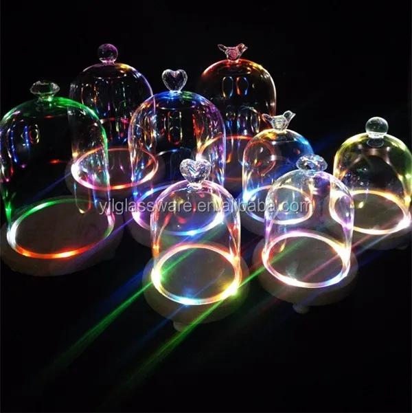 glass bell jar dome2