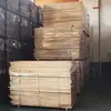 Cheap Elm Timber made for high quality doors and handcrafts from Russia