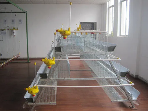 durable battery layer cage for chicken feeding in farm corrosion Resistant galvanized chicken layer cage for sale poultry farm cage for chicken feeding in zimbabwe chicken sheds Reasonable price poultry layer cage for sale egg laying rearing chicken crates for sale for chicken farm galvanized durable frame chicken crates for poultry farm A frame chicken crates for Africa market china best suppiler used poultry cage for sale cameroon chicken farm house layer poultry cage chicken sheds design laying hens poultry cage for sale chicken farm battery layer poultry cage for chicken breeding best sale layer poultry cage for bangladesh farm house design poultry cages prices layer battery poultry cages for sale for chicken laying hens a type poultry cages layer chickens feeding in farm factory price poultry farm cage for laying hens rearing