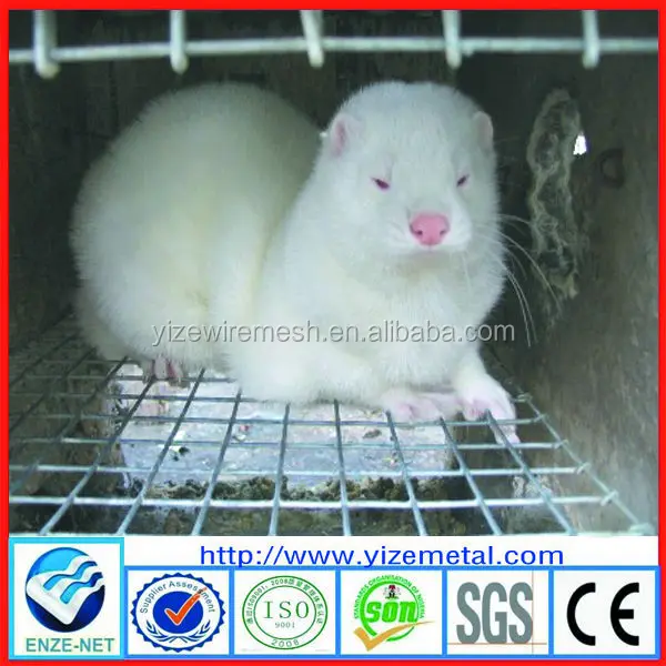 Hot Selling Mink Farm Cage,Mink Living Cage,Wire Mesh Mink Cage For