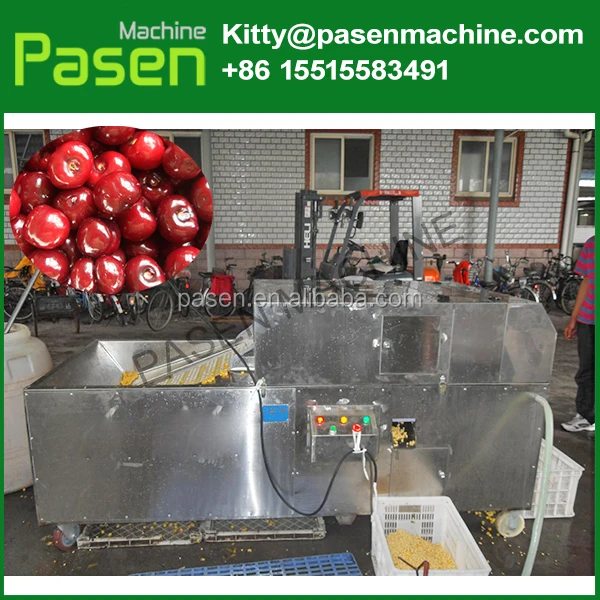 cherry pit remove machine.jpg