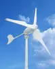 Windmill 2kw wind electric system 110V eolic wind generator for home use