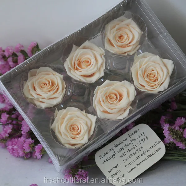 wholesale the champagne color prserved rose head in 5-6cm in a
