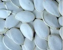 $N18EIIZSVH]SSJ46T1(SG