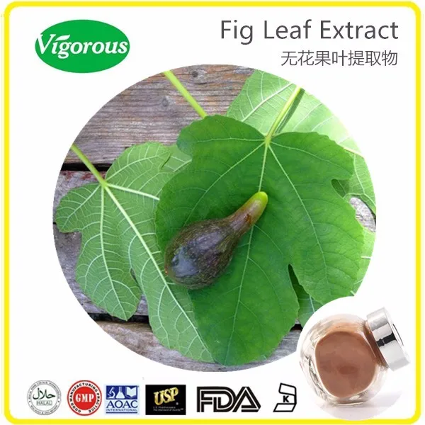 100 Pure Natural Fig Leaf Extract Powder Buy Fig Leaf Extract,Fig