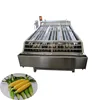 Sweet Corn/Fresh corn Processing Line