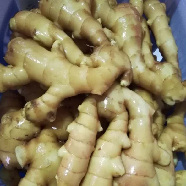 Ginger Price Per Ton Ginger Importing Countries To Dubai Fresh Ginger