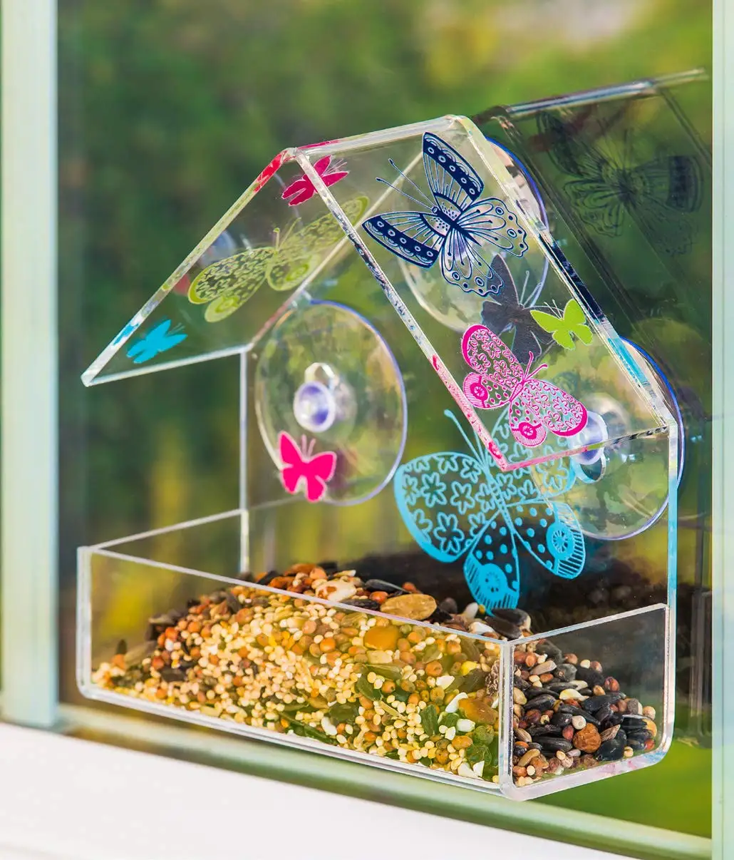 Y30719  bird feeder (2).jpg