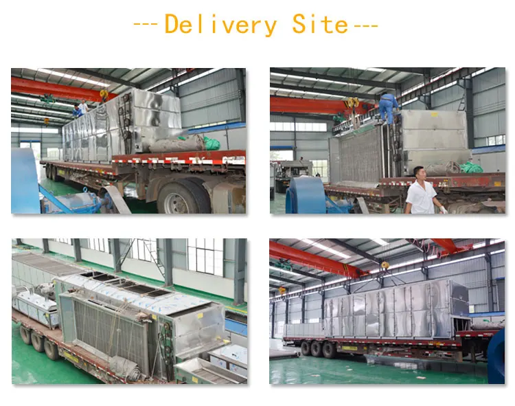 Wholesale price melon Pumpkin seeds drying equipment