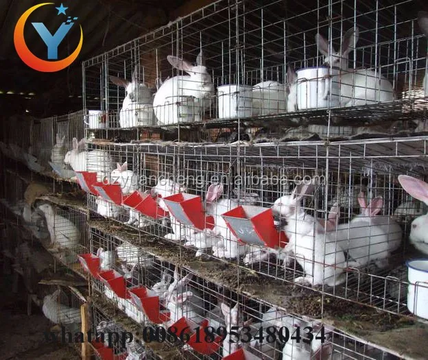 Best Selling Welded Rabit Cage Rabbit Commercial In Kenya Farm Buy