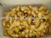 shandong 150g fresh fat ginger