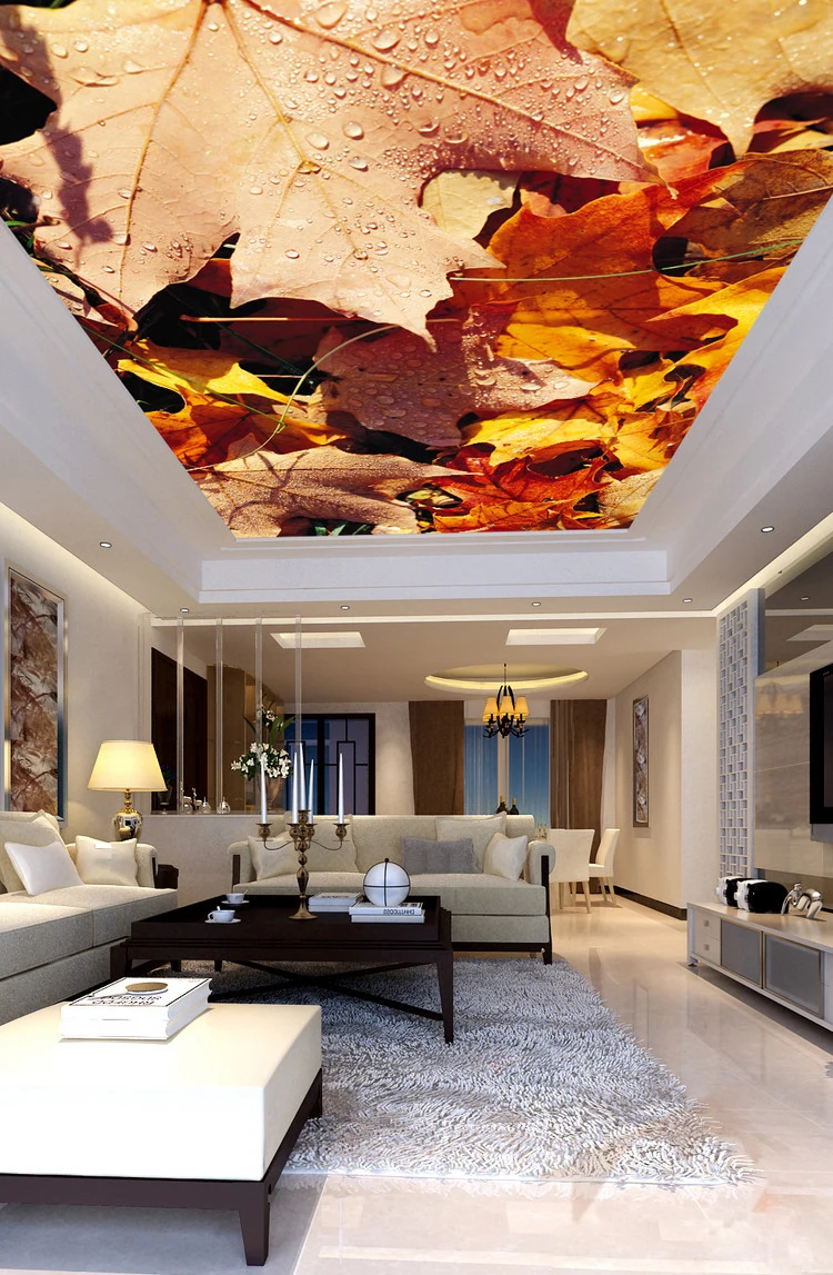 pvc stretch ceiling film.jpg