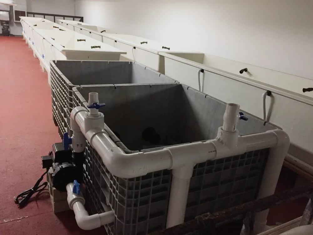 Frp Large Commercial Fish Tank,Fiberglass Large Commercial Fish Tank