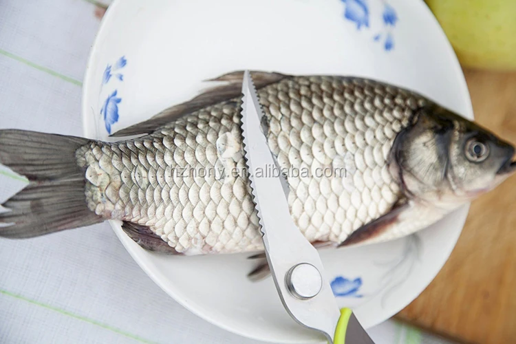 Multifunction Comeapart Easy To Clean Kitchen Shears Best Detachable