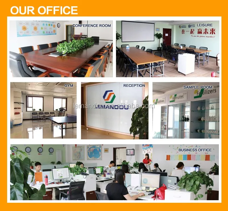 OUR OFFICE