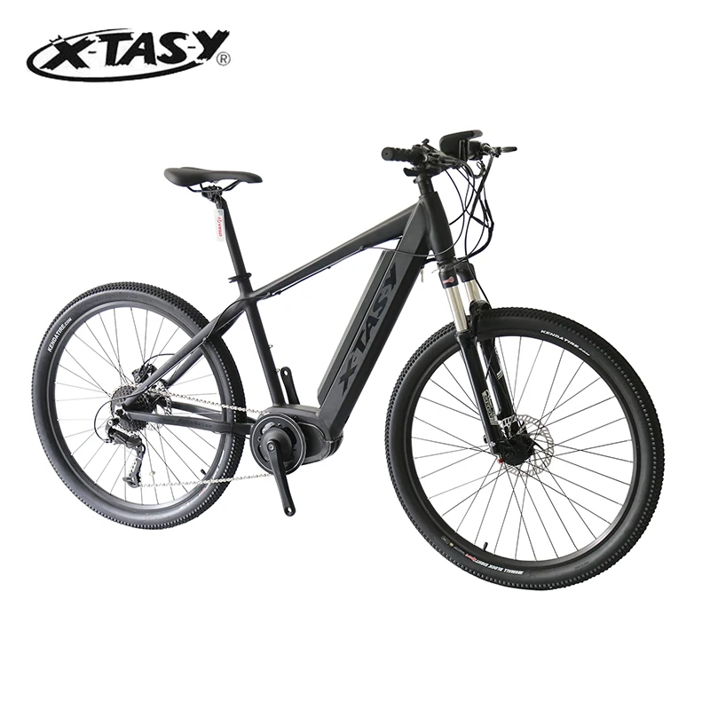With Imported Original Japanese Electric Bike With Battery