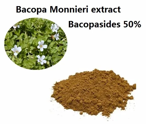 工厂供应天然 bacopasides 50% bacopa monnieri 萃取物