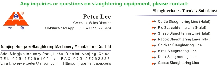 cattle slaughter equipment.jpg