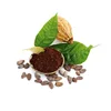 Dried Cocoa/ Cacao/ Chocolate beans