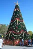 2015 new 20' 30' 40' public christmas tree on street