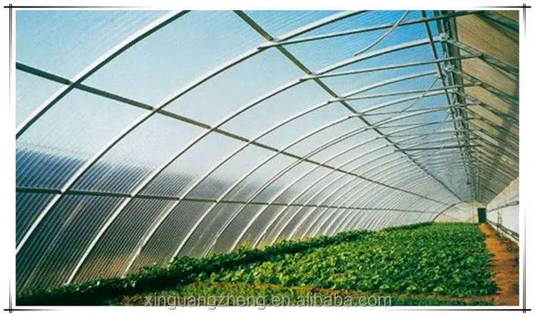 Galvanized steel structure greenhouse for vegetable planting industry