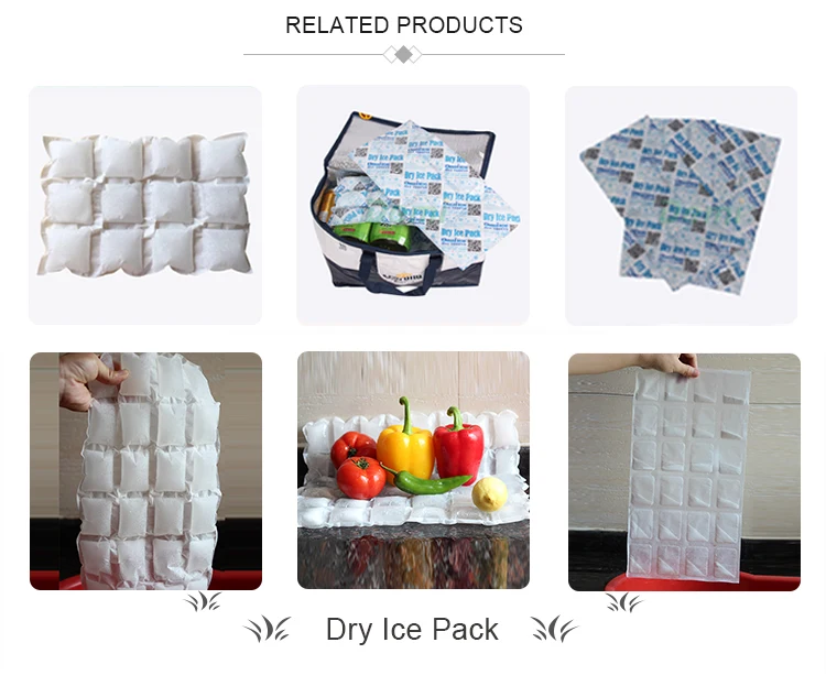 Factory Direct Durable and Reusable Food Grade Gel Dry Ice Pack