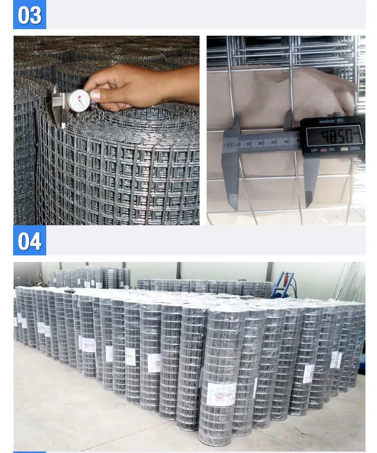 Wholesale 1x2 Galvanized Welded Wire Mesh Price/1x1 Stainless Steel