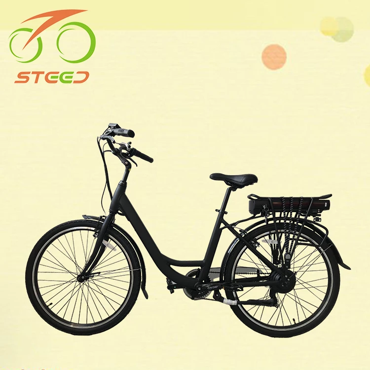 electric bicycle with sidecar