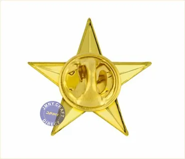 metal star order brooch