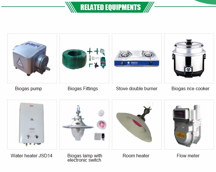 China Marke Puxin Besten Preis Mini Portable Montage Biogasanlage