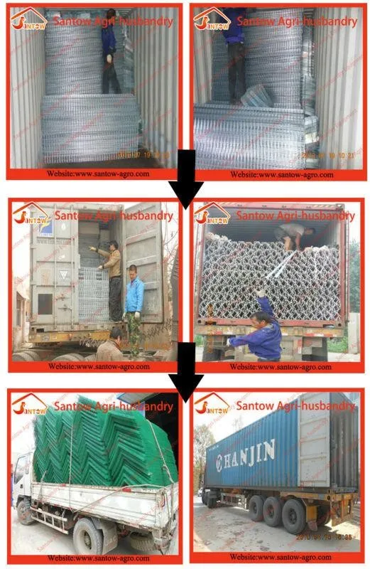 Antirust chicken battery cages poultry battery laying cages for poultry farms