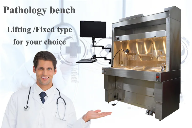 Pathologic Tissue Selected Table Laboratory Equipment Pathological