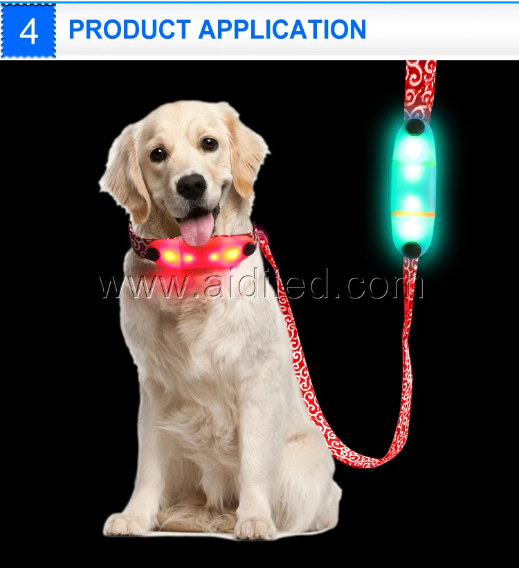 Safety LED Dog Leash, USB Rechargeable Flashing Light, 1000 Feed Visibility