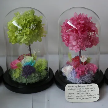 Rose In Water Globe Shapeyourminds Kept More Than 3 Years Rose Preservation In Water Globe For Gifts