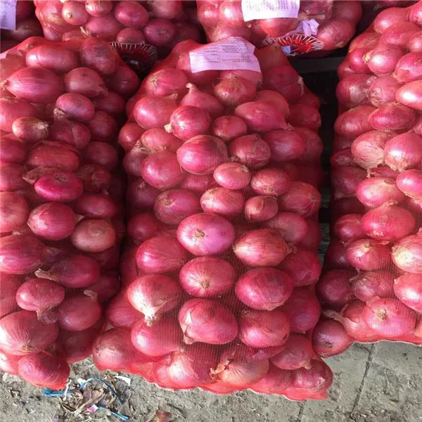 China Onion Price For Sri Lanka Buy Onion Price For Sri Lanka,China