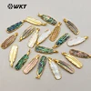 WT-P1242 WKT Wholesale New Coming Fashion Abalone Shell Pendant Feather Shape Gorgeous Shell Pendant