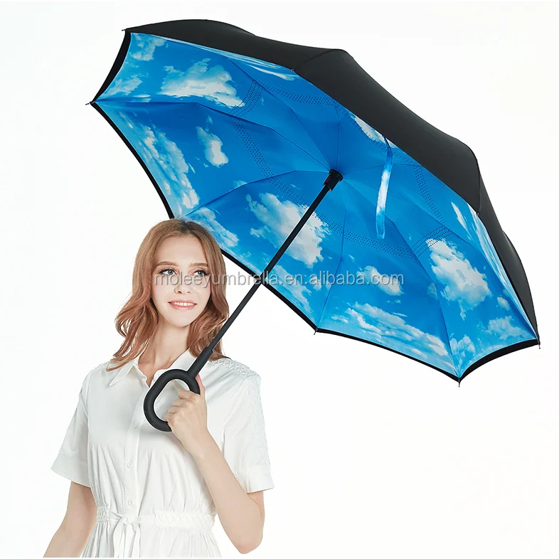inverted umbrella (1).png