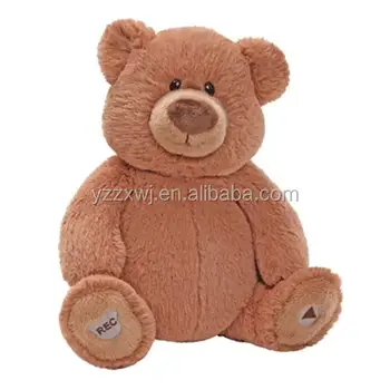 speaking teddy