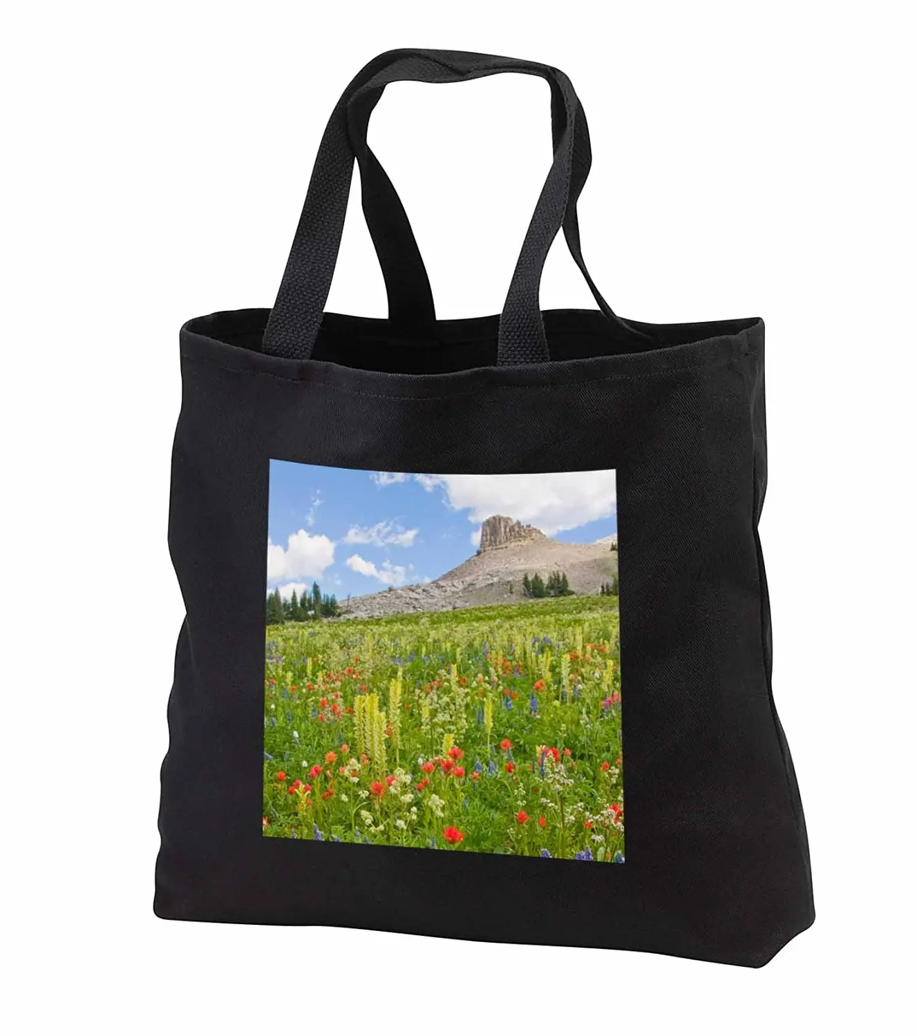 tb_231867 Danita Delimont - Wildflower - Wyoming, Grand Teton National Park, Spearhead Peak - Tote Bags