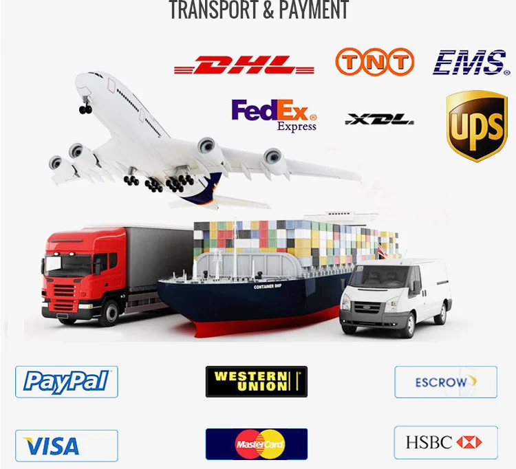 Shipping & Payment