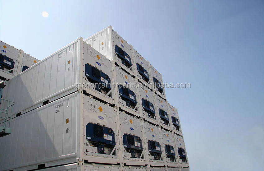 20ft Reefer Container With Daikincarrierthermo King Cooling Unit