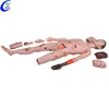 /product-detail/medical-trauma-simulation-cpr-manikins-60775690104.html