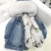 Fashion Short Large Silver Fox Fur Collar Denim Jacket With Real Fur Lining