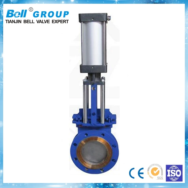 Dn250 Pn10 Pneumatic Slide Stainless Steel Knife Gate Valve Price Buy